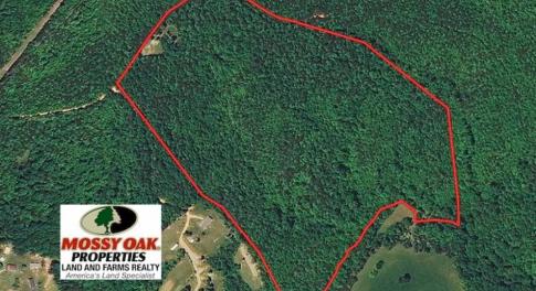 Photo of 48.679 Acres of Hunting / Recreation Land For Sale in Amherst County VA!
