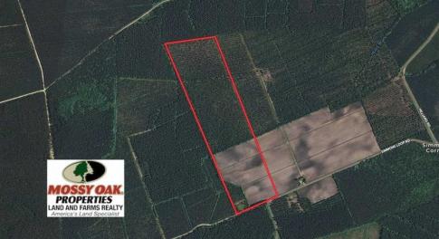 Photo of UNDER CONTRACT!!  100 Acres of Farmland, Timberland, and Hunting Land For Sale in Jones County NC!
