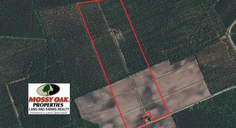 Photo of UNDER CONTRACT!!  106.3 Acres of Farmland, Timberland, and Hunting Land For Sale in Jones County NC!