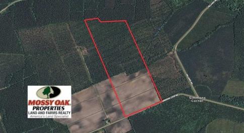 Photo of UNDER CONTRACT!!  100 Acres of Farmland, Timberland, and Hunting Land For Sale in Jones County NC!