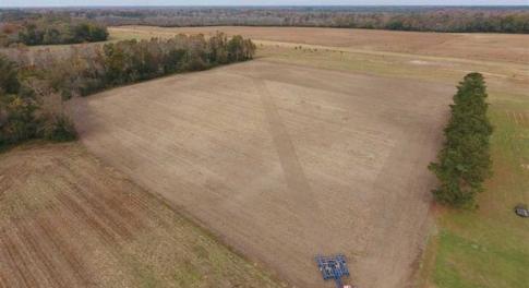 Photo of 34.4 Acres of Hunting and Farm Land For Sale in Craven County NC!