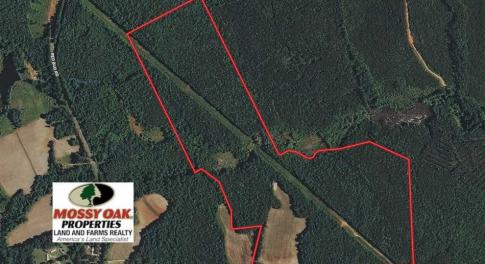 Photo of UNDER CONTRACT!!  107.9 Acres of Timber and Hunting Land For Sale in Nash County NC!