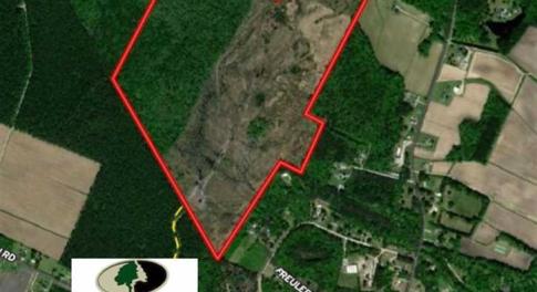 Photo of 166 acres of Timberland For Sale in Pitt County NC!