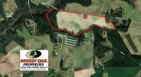 Photo of UNDER CONTRACT!!  53.33 acres of Farm for Sale in Sampson County NC!