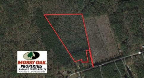 Photo of 21 Acres of Tall Timber in the Countryside of Mathews County Virginia!