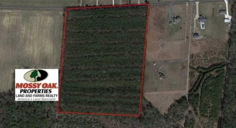 Photo of UNDER CONTRACT!!  20.88  acres of Hunting / Homesite Land for Sale in Accomack County VA