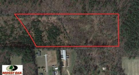 Photo of UNDER CONTRACT!!  13 Acres of Hunting Land For Sale in Edgecombe County NC!