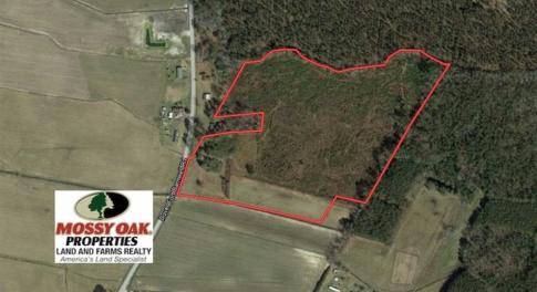 Photo of UNDER CONTRACT!!  29 Acres of Hunting and Farm Land For Sale in Craven County NC!