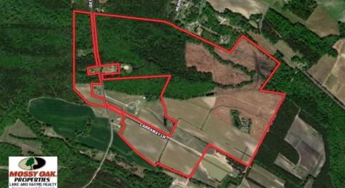 Photo of 201 Acres of Farm and Hunting Land For Sale in Pitt County NC!