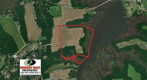 Photo of 47 Acres on Deep Water Tidal Waters in Isle of Wight County Virginia!