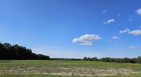 View of undeveloped land featuring rural landscape