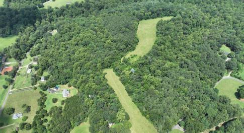 DJI_0556