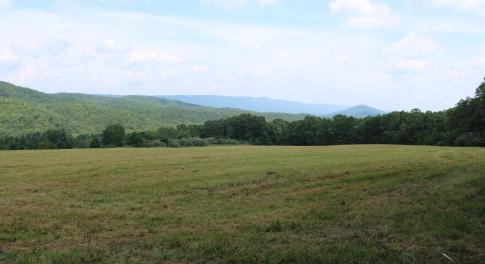 IMG_0003