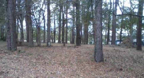 Lot 7 Lakeshore Dr. - Depth View