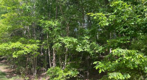 006-465670-IMG_4825_13405875