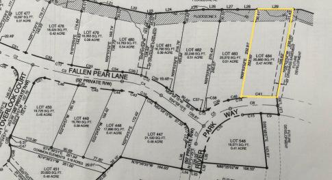 Lot 484