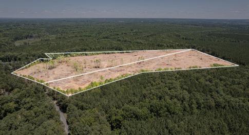 29-web-or-mls-New Hill Holleman (1)