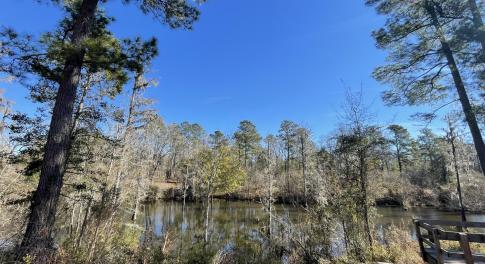 Creek View