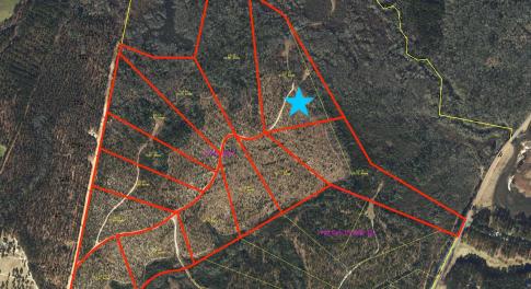 Preliminary Survey Aerial