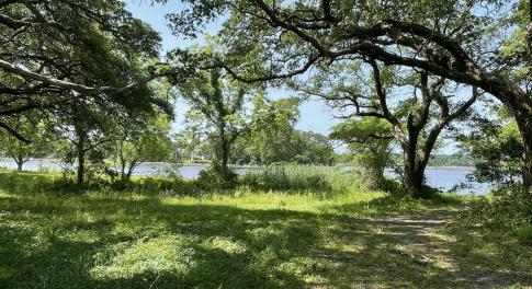 Lot 10 - Red Drum Way