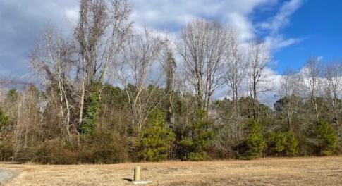 Residential lot