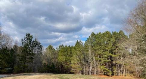 Lot view
