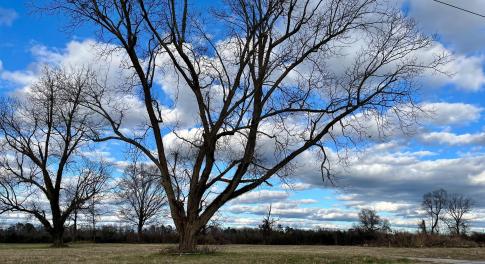 50+Acres