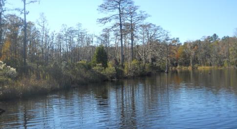 Water view