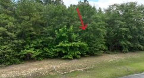 173 Deer Pointe Drive Lot 9