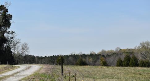 DSC_1246