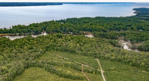 C-3 Nevil Creek