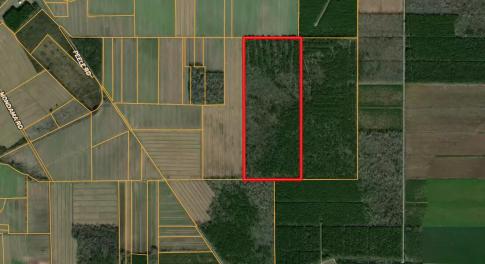 Prime Hunting & Timber Land for Sale