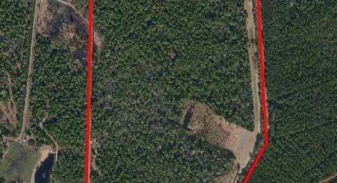 Aerial Image