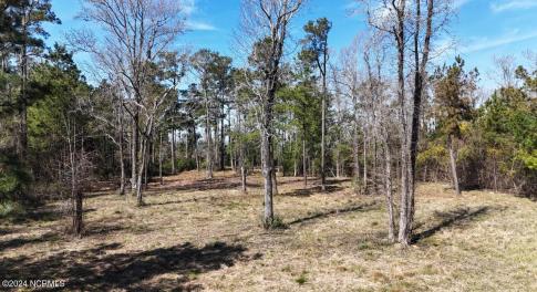 DJI_20240315120428_0027_D Large