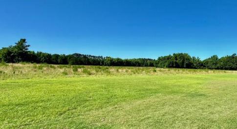 land