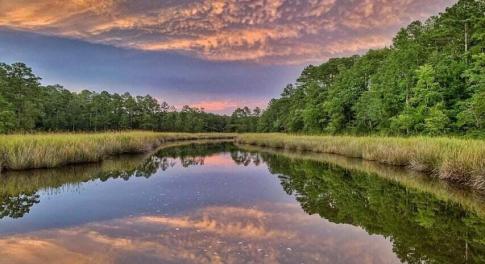 creek reflection