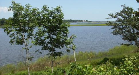Hobbs 7-12-23 009