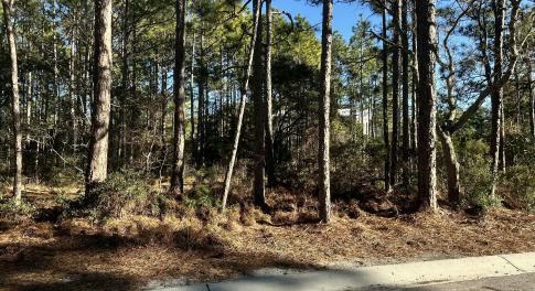 1528 St Vincent Drive SW  Shallotte