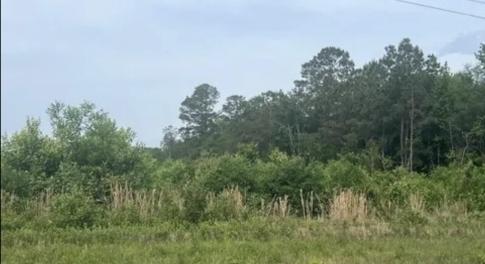 1) 47761-66bf6f5967561