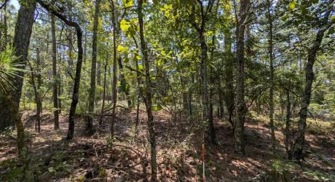 PXL_20240815_170925848