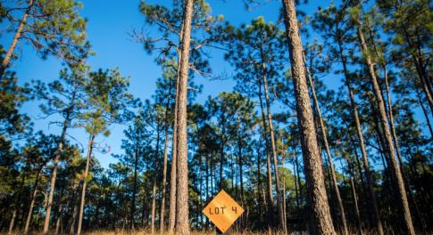 Screen Shot 2023-04-01 at 11.43.33 PM