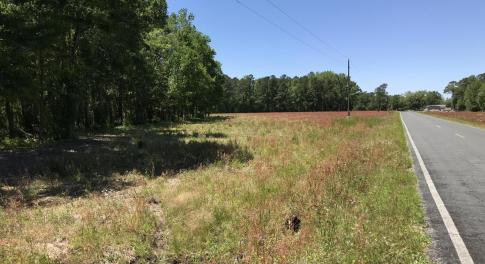 Shuttleworth Lot 3-14.5 ac-1