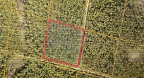 Lot 231 in 1st picture outlined in Red