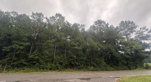 View from Friendship Road