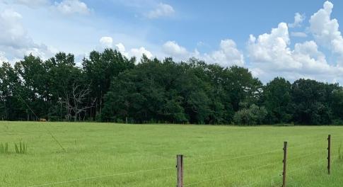 Foster Farm IMG_3283 corrected Front