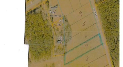 Lot 7