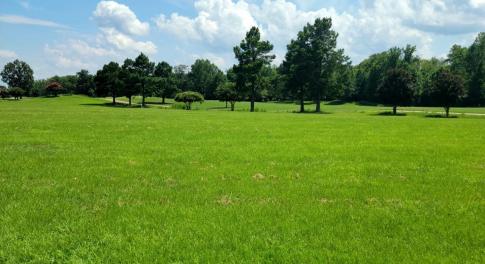 Street View - Lot 73 - Ph. 1