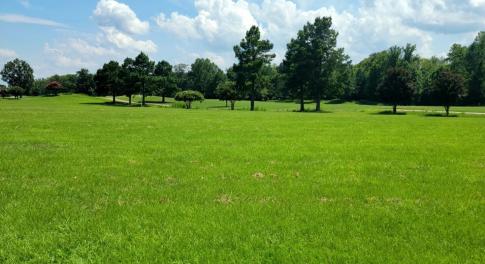 Street View - Lot 73 - Ph. 1