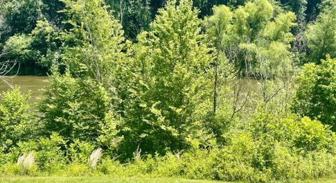 281 Old SR 1801, Scotland Neck, NC 27874