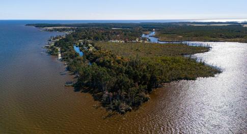 53 Acres Driftwood Dr